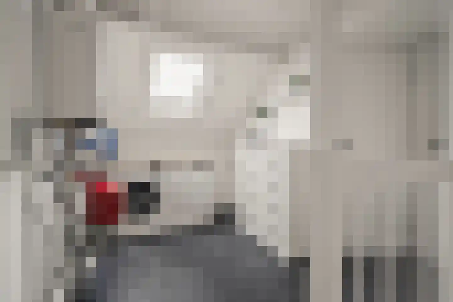 Riddersborch 5 Houten thumbnail 51