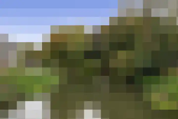 Ridderschapstraat 14 C Utrecht thumbnail 26
