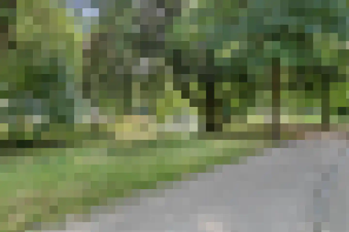 Ridderschapstraat 25 A Utrecht thumbnail 20