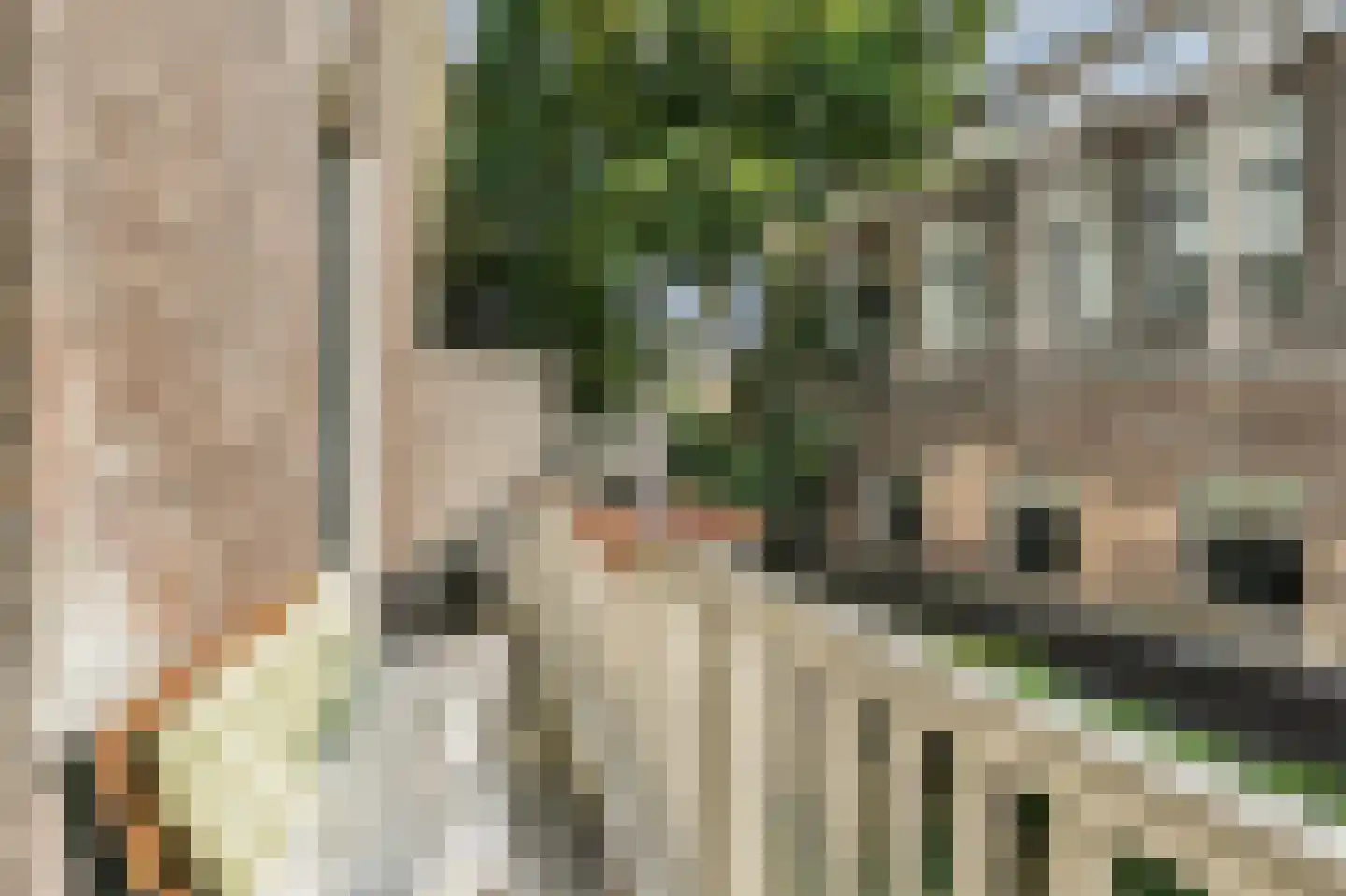 Ridderschapstraat 25 A Utrecht thumbnail 5