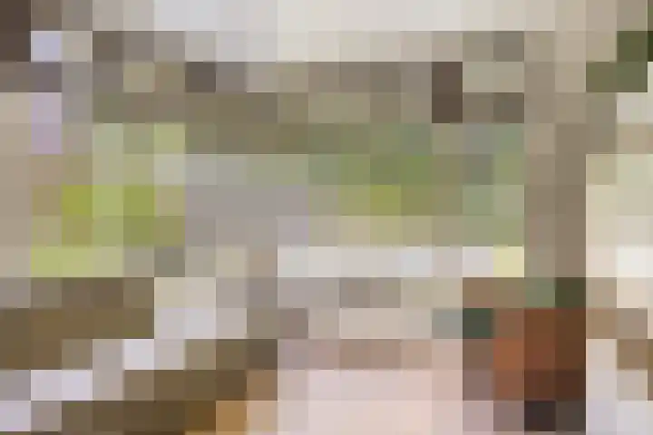 Riddershove 24 Mill thumbnail 11