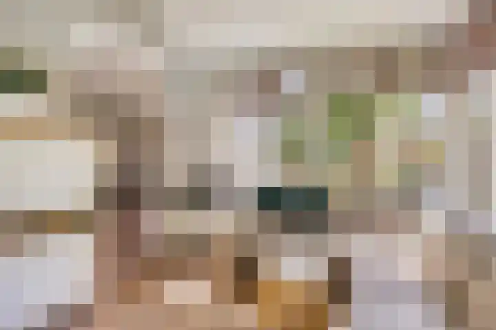 Riddershove 24 Mill thumbnail 12