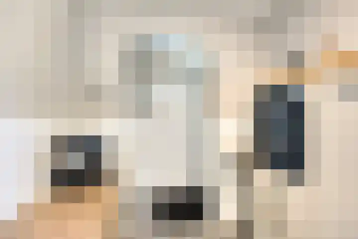 Riddershove 24 Mill thumbnail 18