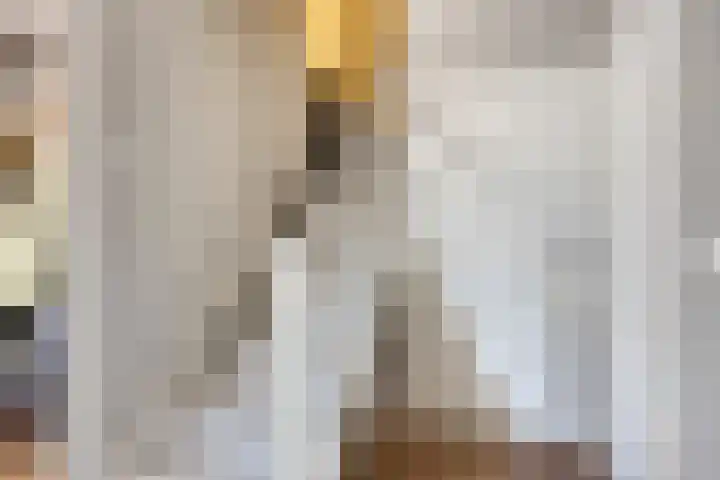 Riddershove 24 Mill thumbnail 21