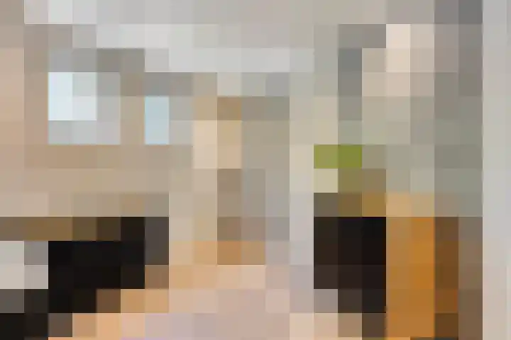 Riddershove 24 Mill thumbnail 30