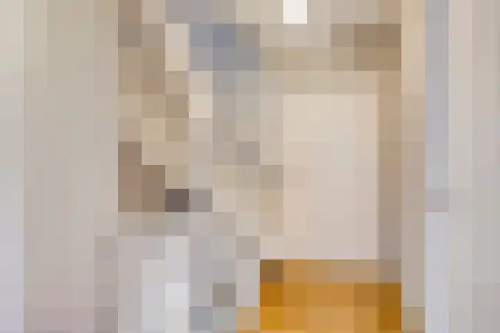 Riddershove 24 Mill thumbnail 32