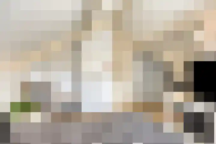 Riddershove 24 Mill thumbnail 35