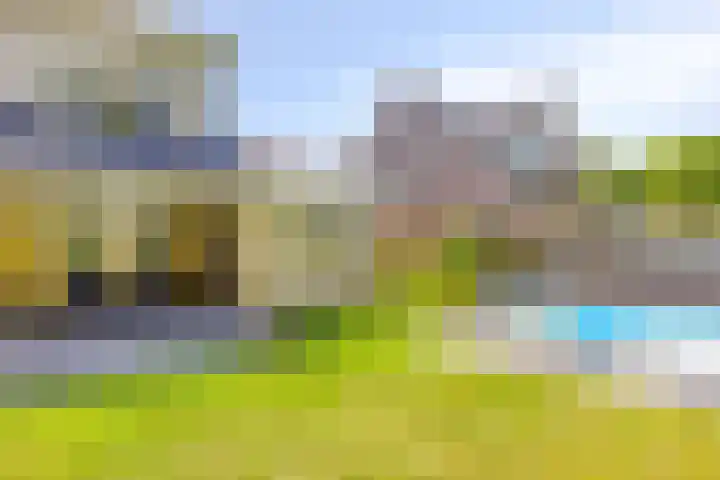 Riddershove 24 Mill thumbnail 41