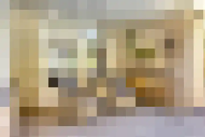 Riddershove 24 Mill thumbnail 42