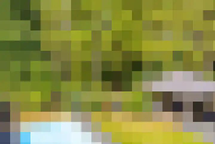 Riddershove 24 Mill thumbnail 43
