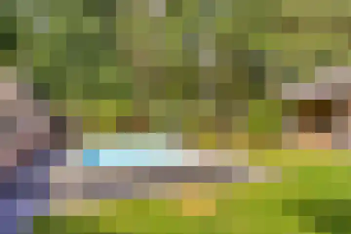 Riddershove 24 Mill thumbnail 44