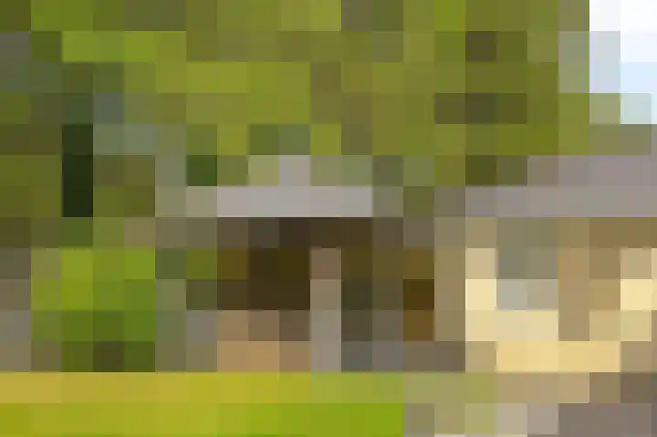 Riddershove 24 Mill thumbnail 46