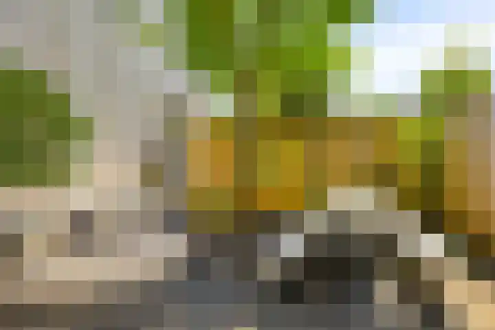 Riddershove 24 Mill thumbnail 50