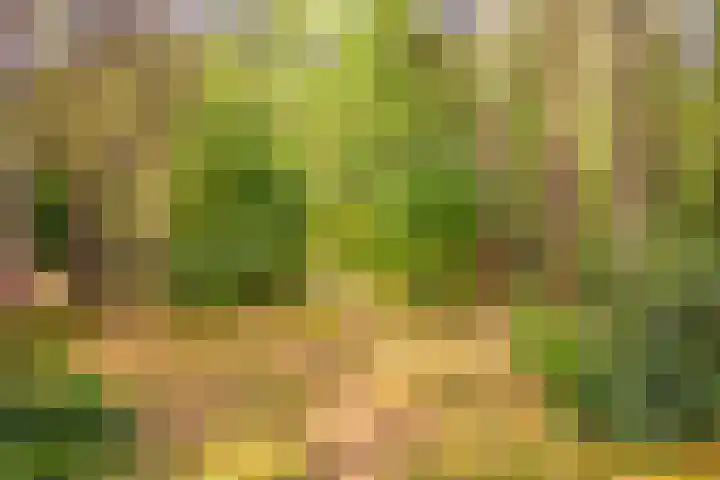 Riddershove 24 Mill thumbnail 59