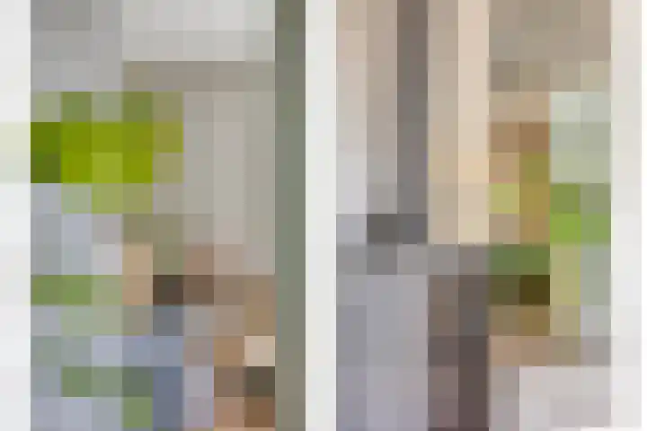 Riddershove 24 Mill thumbnail 6