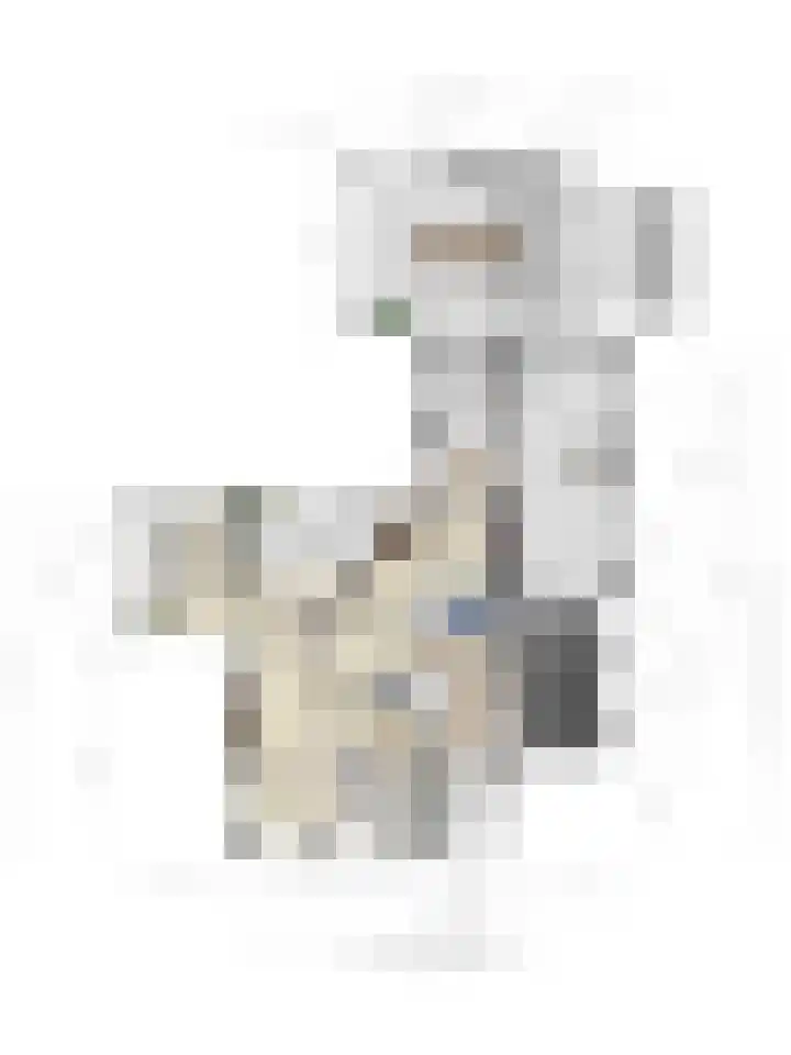 Riddershove 24 Mill thumbnail 60