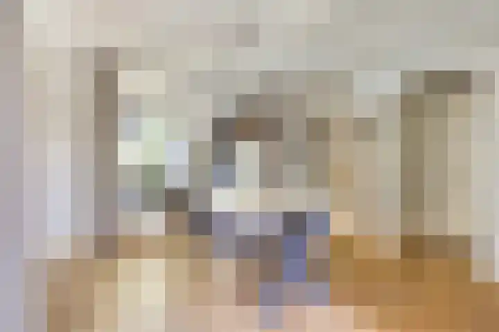 Riddershove 24 Mill thumbnail 9