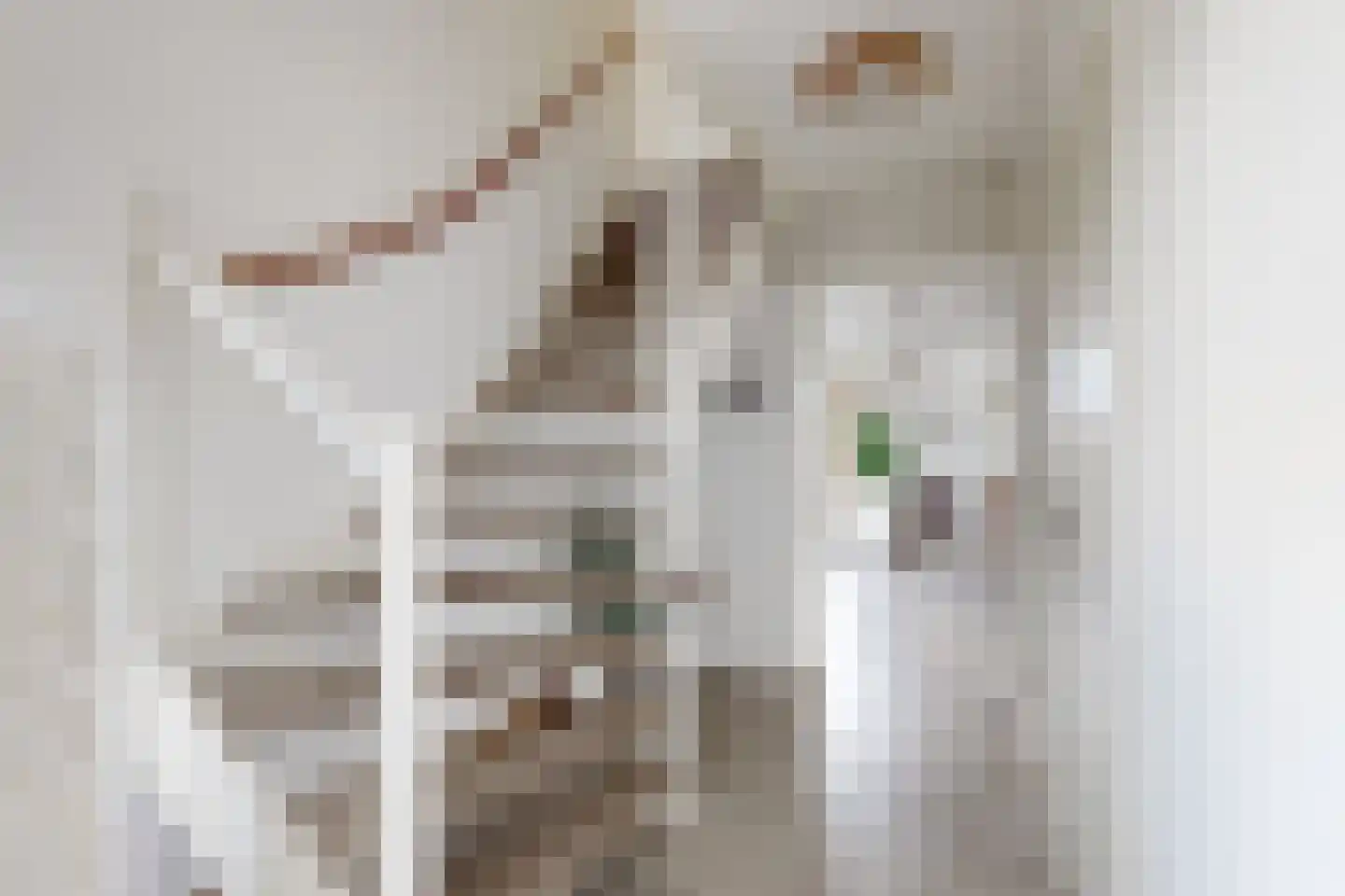 Ridderspoor 1 Zevenbergen thumbnail 13