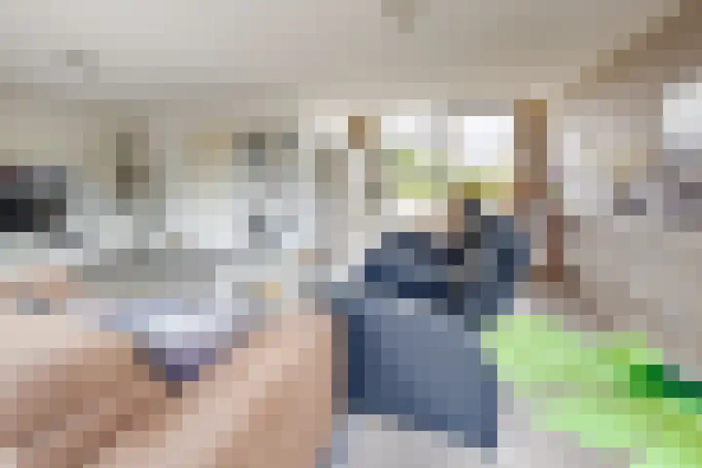 Ridderspoor 1 Zevenbergen thumbnail 17