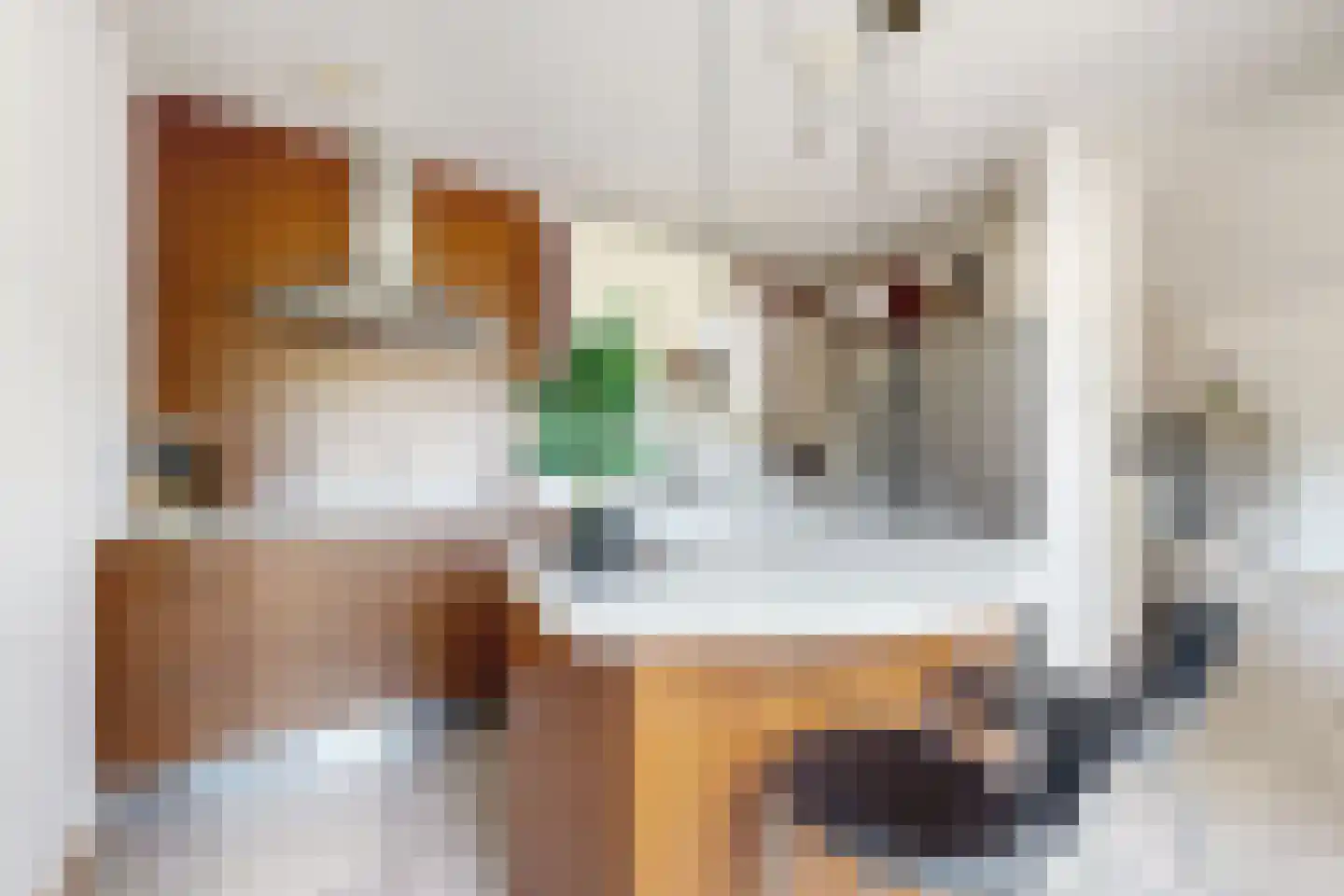 Ridderspoor 1 Zevenbergen thumbnail 29