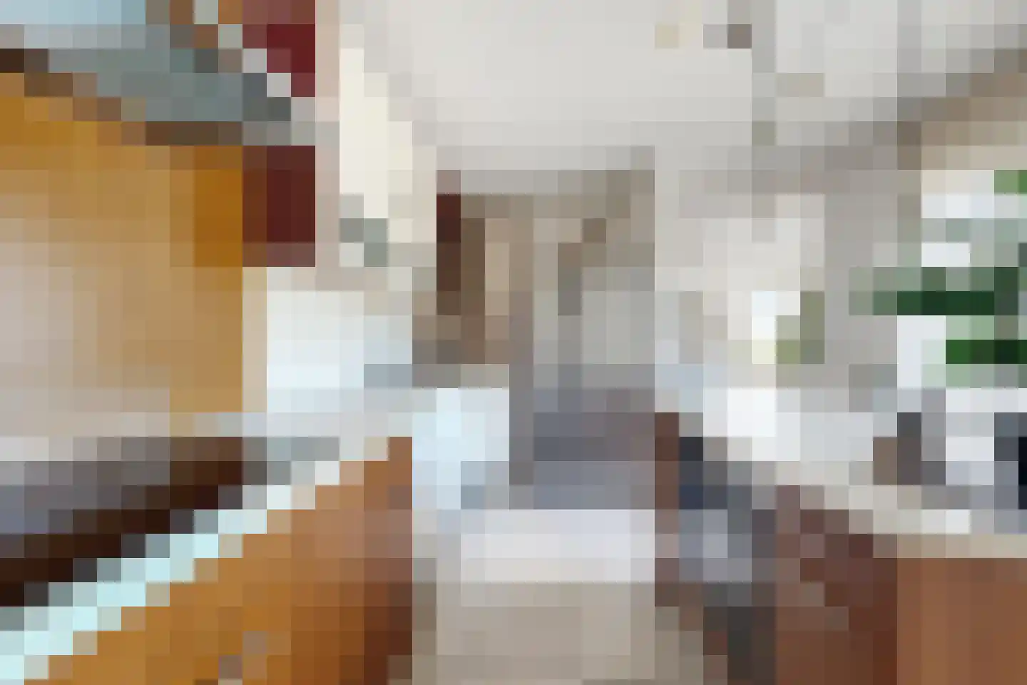 Ridderspoor 1 Zevenbergen thumbnail 32