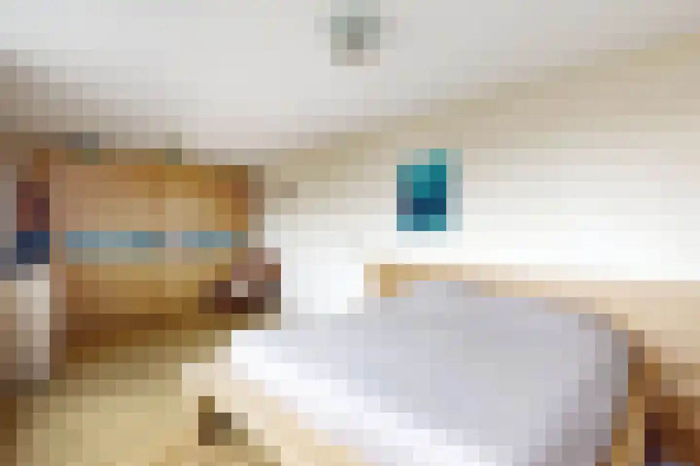 Ridderspoor 1 Zevenbergen thumbnail 47