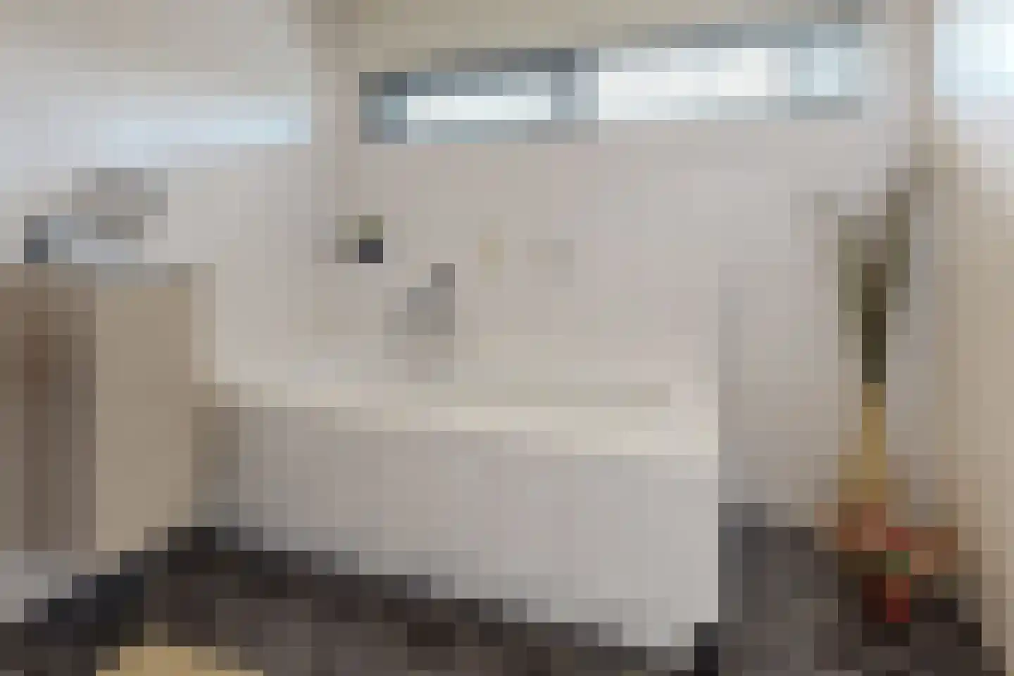 Ridderspoor 1 Zevenbergen thumbnail 55