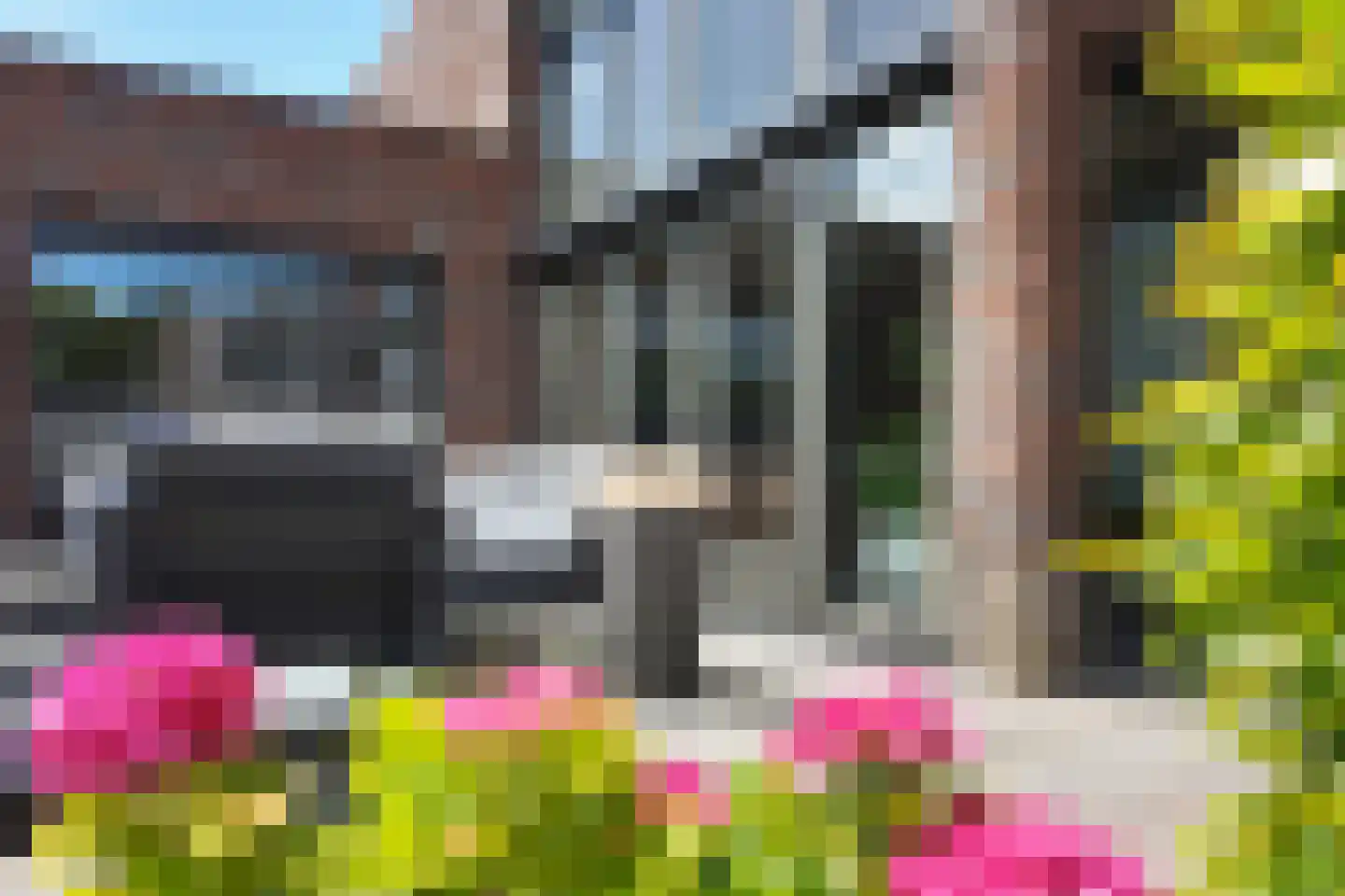 Ridderspoor 1 Zevenbergen thumbnail 65