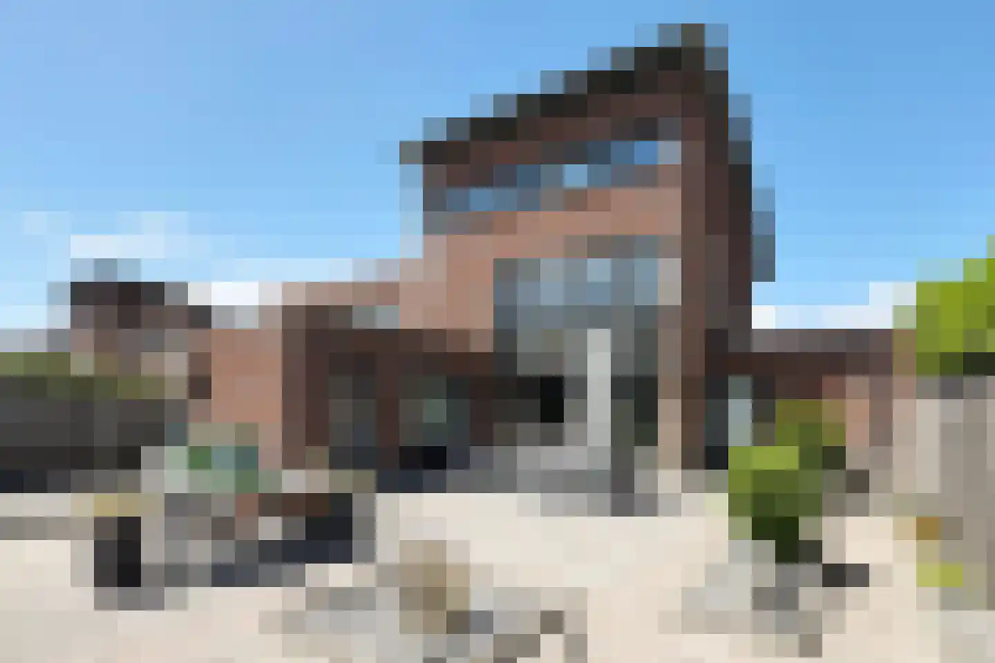 Ridderspoor 1 Zevenbergen thumbnail 67