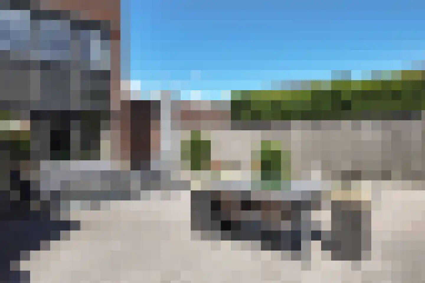 Ridderspoor 1 Zevenbergen thumbnail 69
