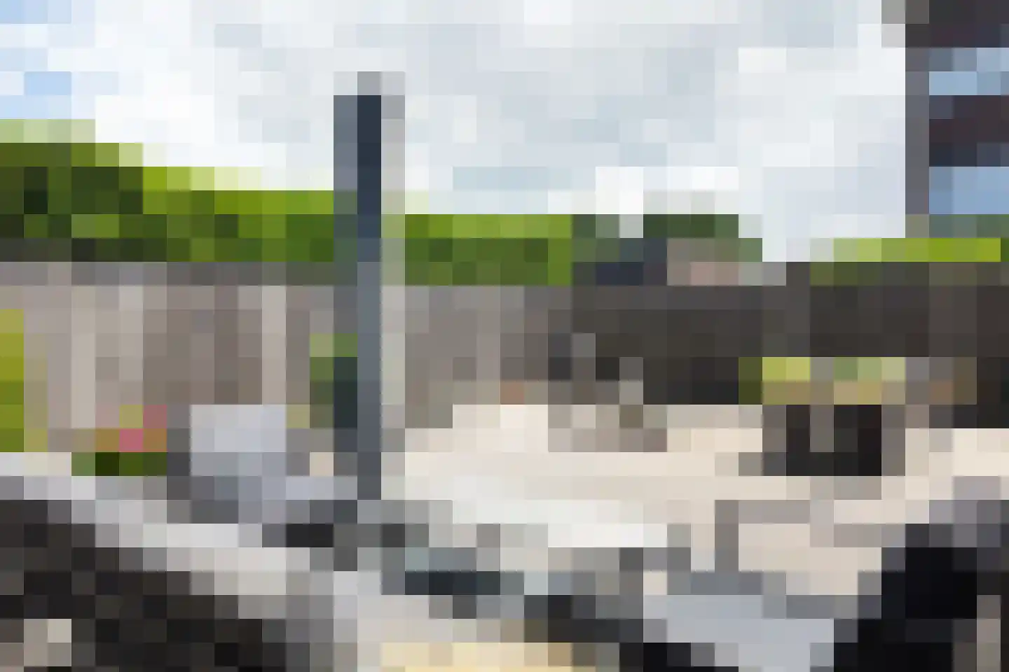 Ridderspoor 1 Zevenbergen thumbnail 71