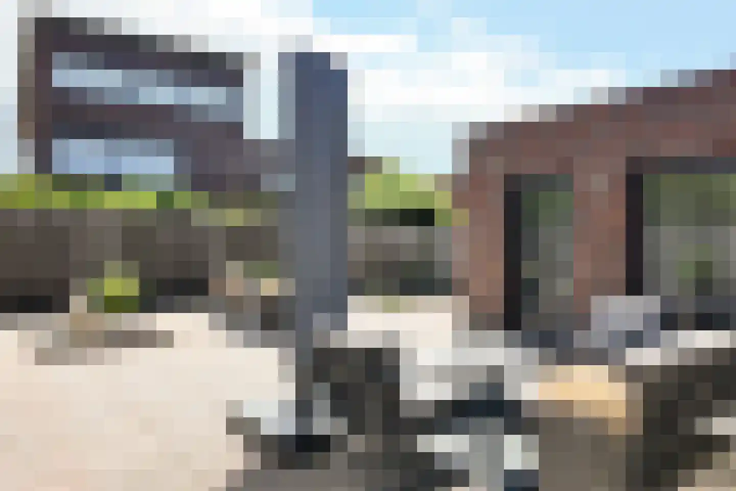 Ridderspoor 1 Zevenbergen thumbnail 72