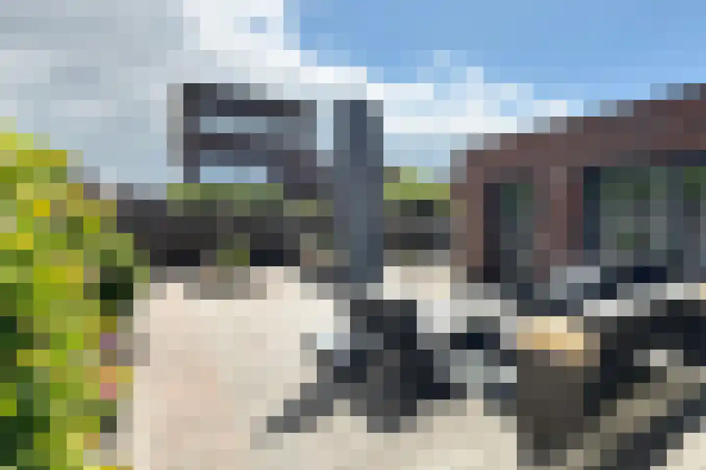 Ridderspoor 1 Zevenbergen thumbnail 73