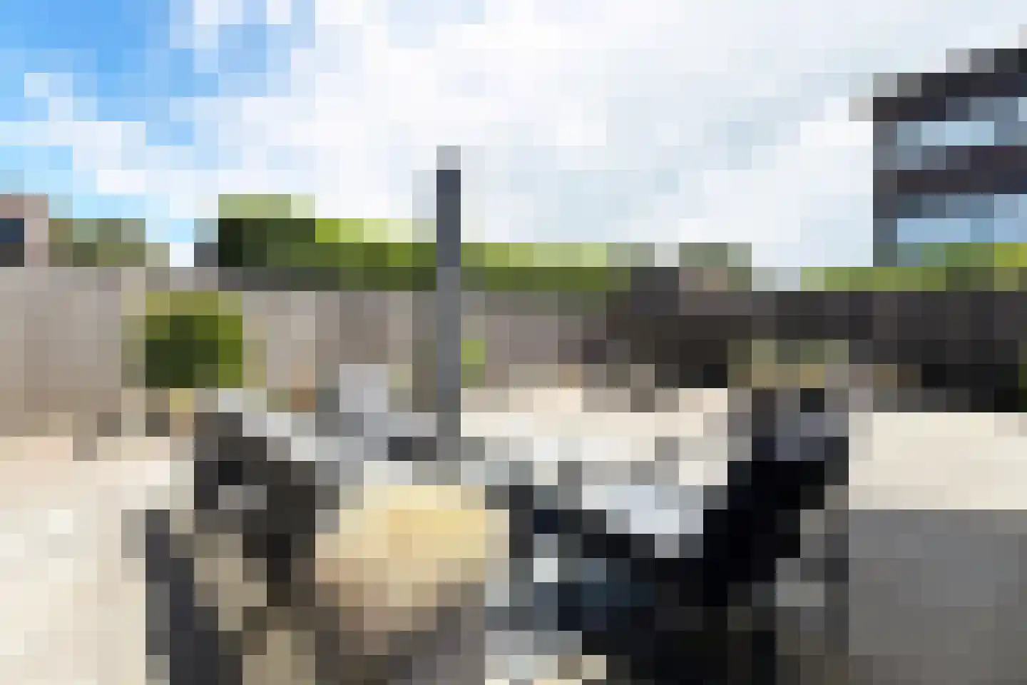 Ridderspoor 1 Zevenbergen thumbnail 74