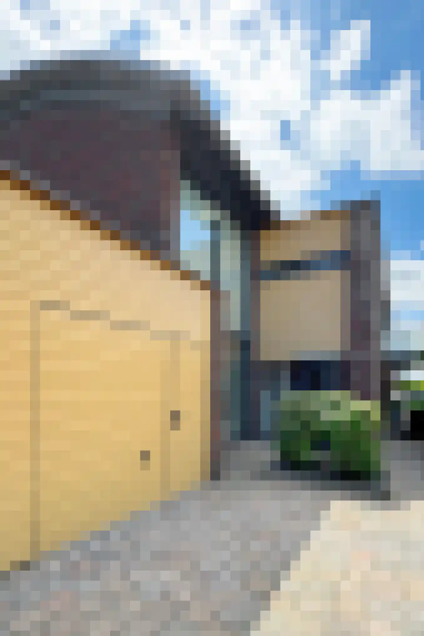 Ridderspoor 1 Zevenbergen thumbnail 78