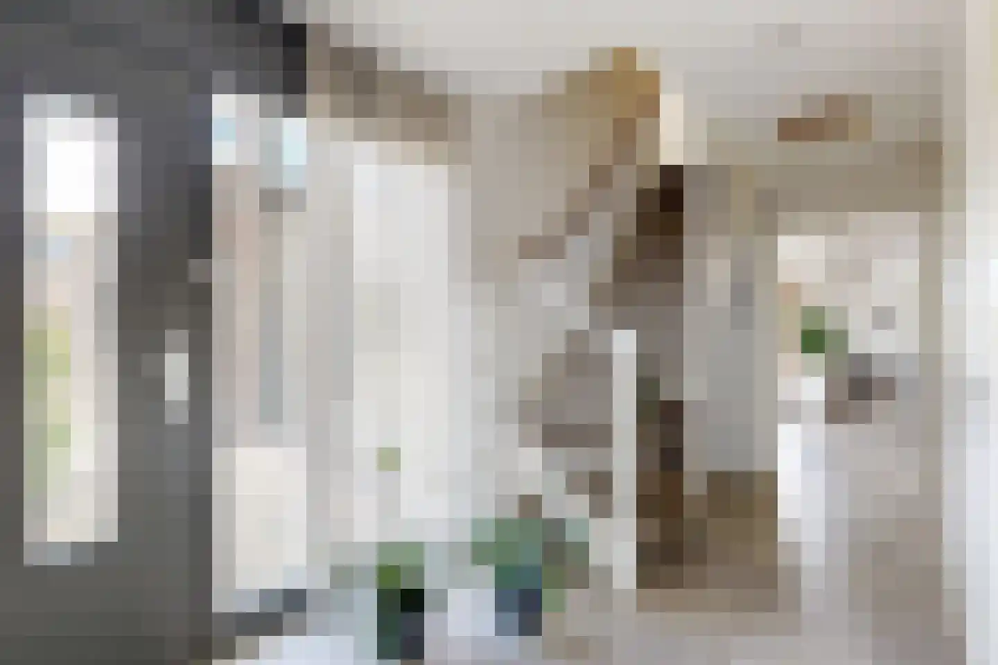 Ridderspoor 1 Zevenbergen thumbnail 8