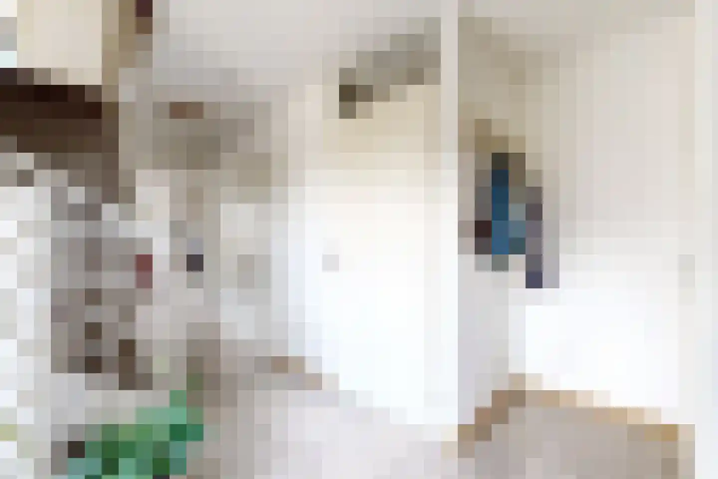 Ridderspoor 1 Zevenbergen thumbnail 9