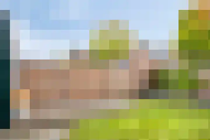 Ridderspoor 10 Zwaag thumbnail 27