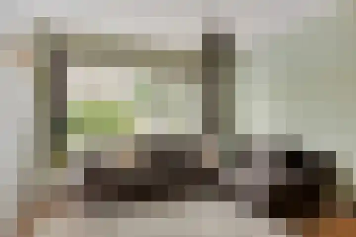 Ridderspoor 10 Zwaag thumbnail 6