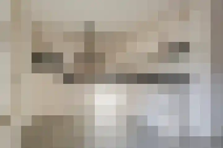 Ridderspoor 11 Cuijk thumbnail 12