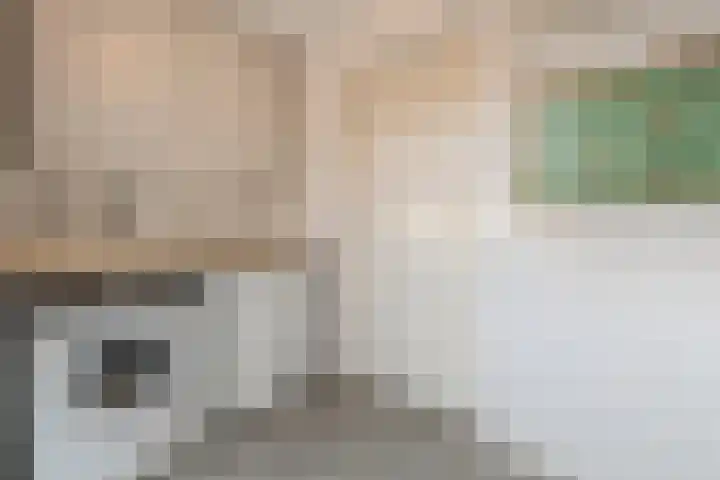 Ridderspoor 11 Cuijk thumbnail 13