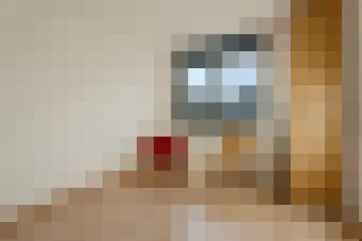 Ridderspoor 11 Cuijk thumbnail 16