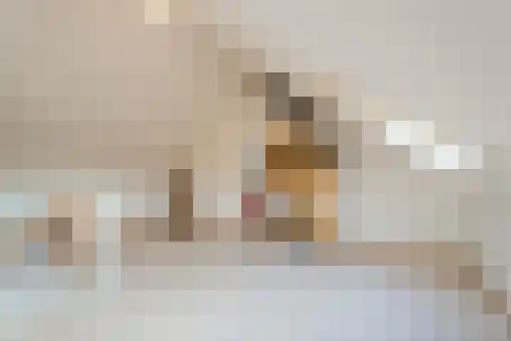Ridderspoor 11 Cuijk thumbnail 22