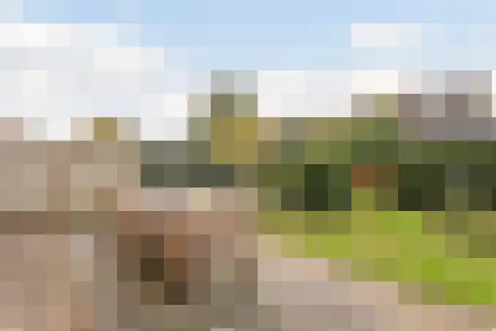 Ridderspoor 11 Cuijk thumbnail 23