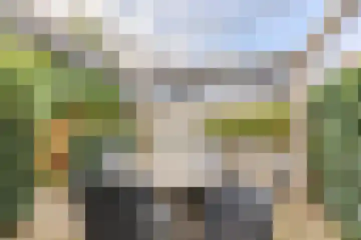 Ridderspoor 11 Cuijk thumbnail 24