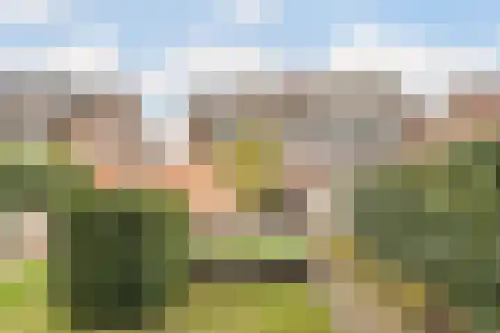 Ridderspoor 11 Cuijk thumbnail 25