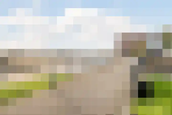 Ridderspoor 11 Cuijk thumbnail 27