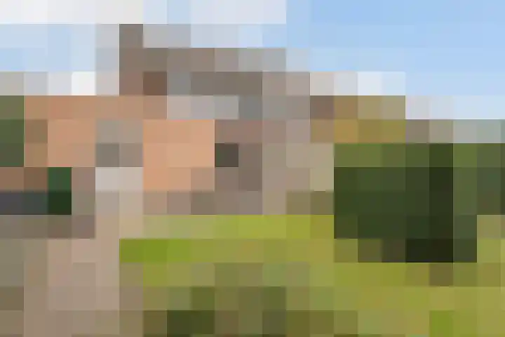 Ridderspoor 11 Cuijk thumbnail 4