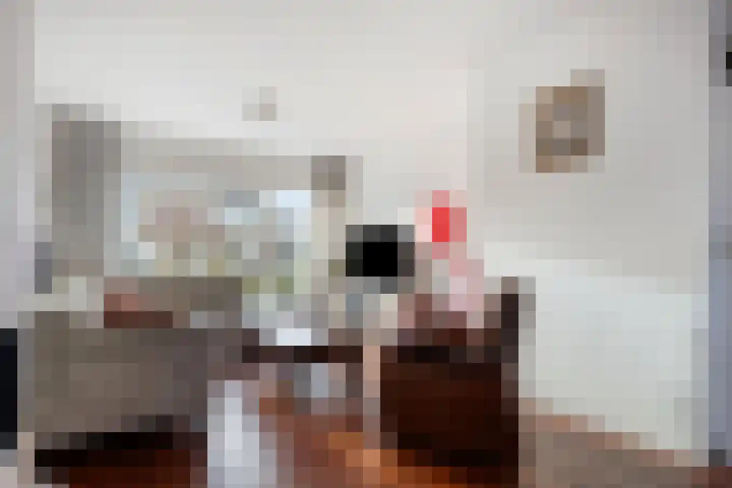 Ridderspoor 13 Borne thumbnail 12
