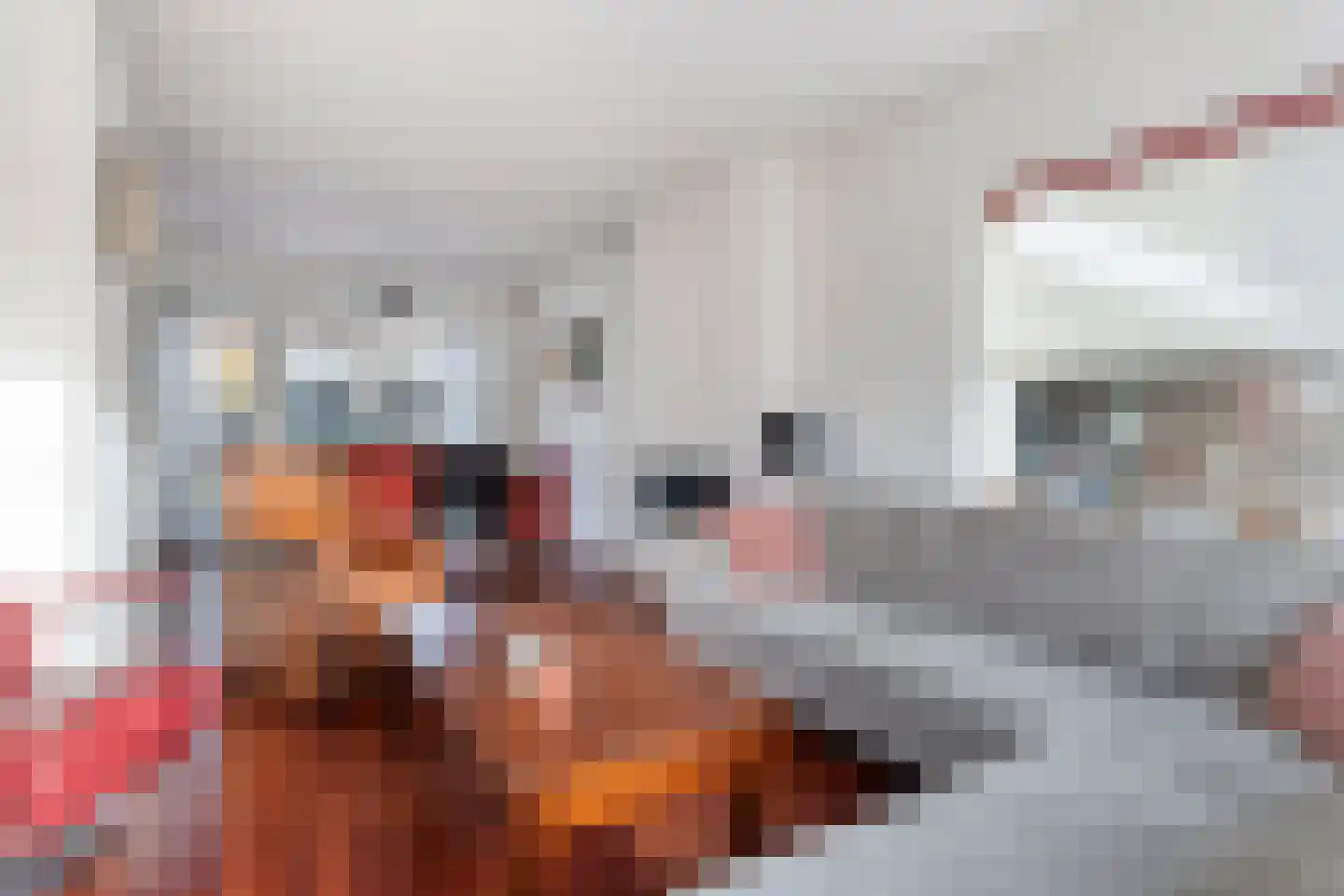 Ridderspoor 13 Borne thumbnail 13